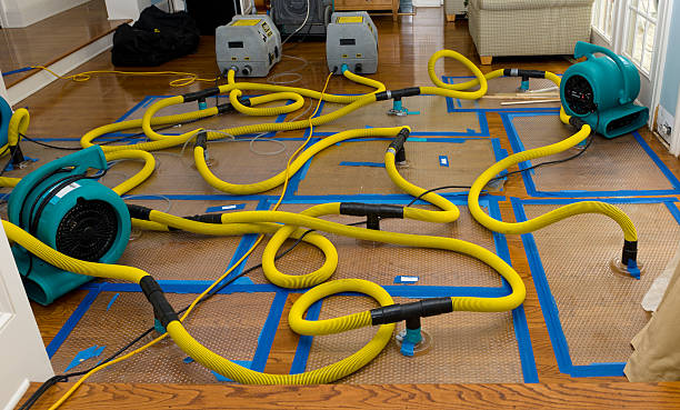 Professional Storm Water Damage Restoration technician working in Whiteside, MO